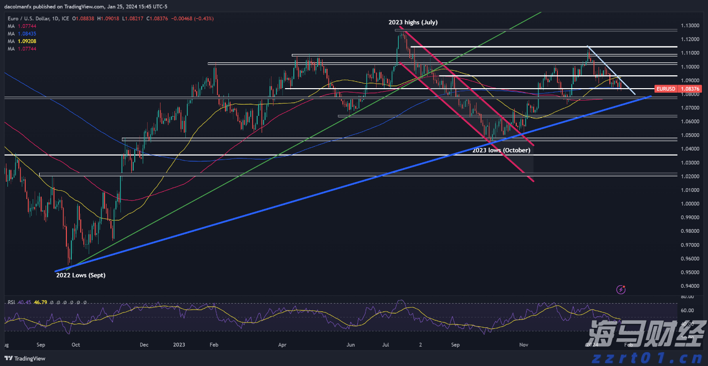 今天下午，湛江将开展全市爱国卫生运动统⼀行动