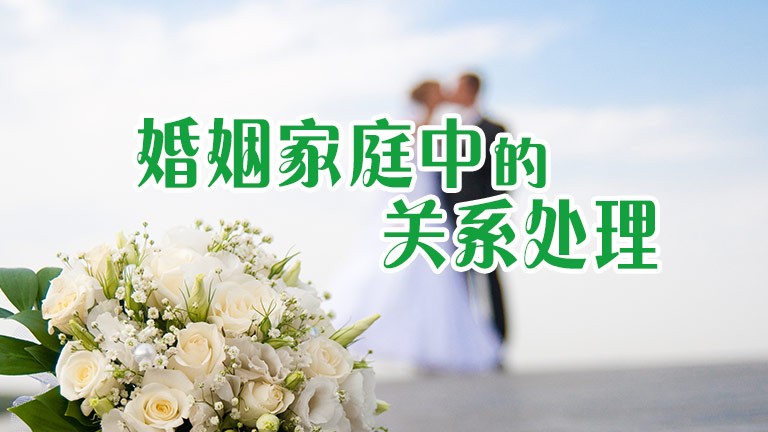 加快皖北“四化同步”奋力推动乡村振兴