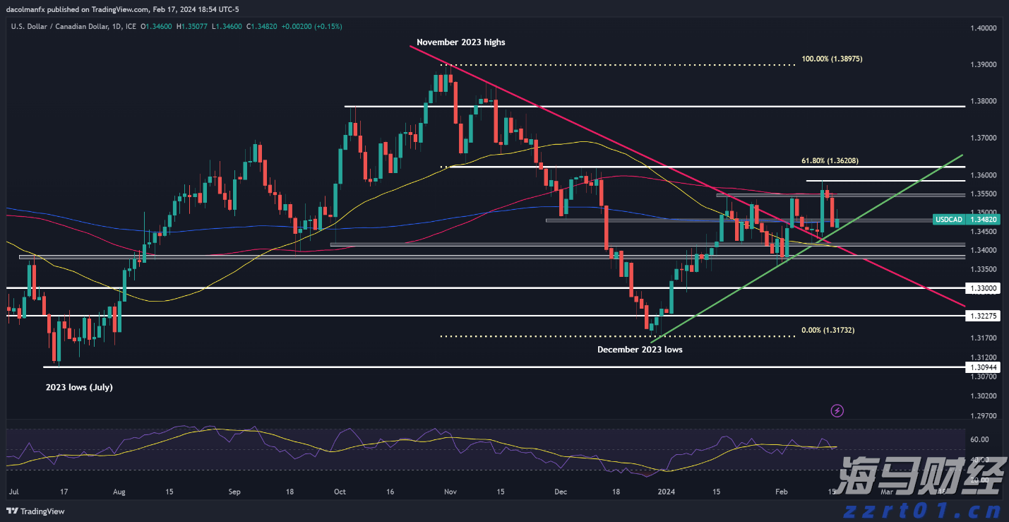 深耕创作沃土 讲好徐闻故事
