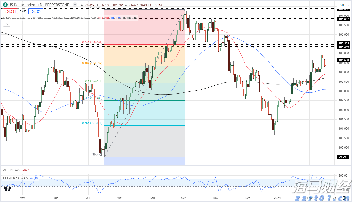 深耕创作沃土 讲好徐闻故事