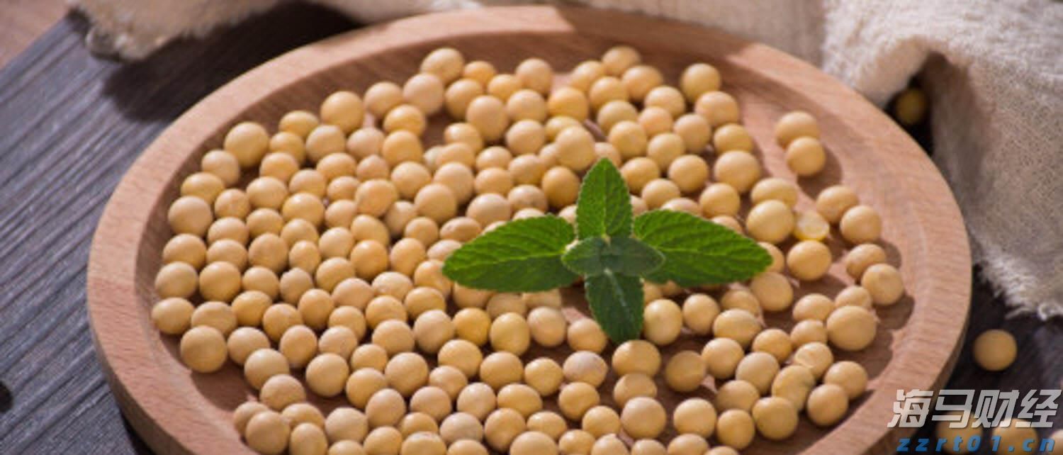 摩根士丹利Q4前瞻：看好“AI领军者”微软(MSFT.US)