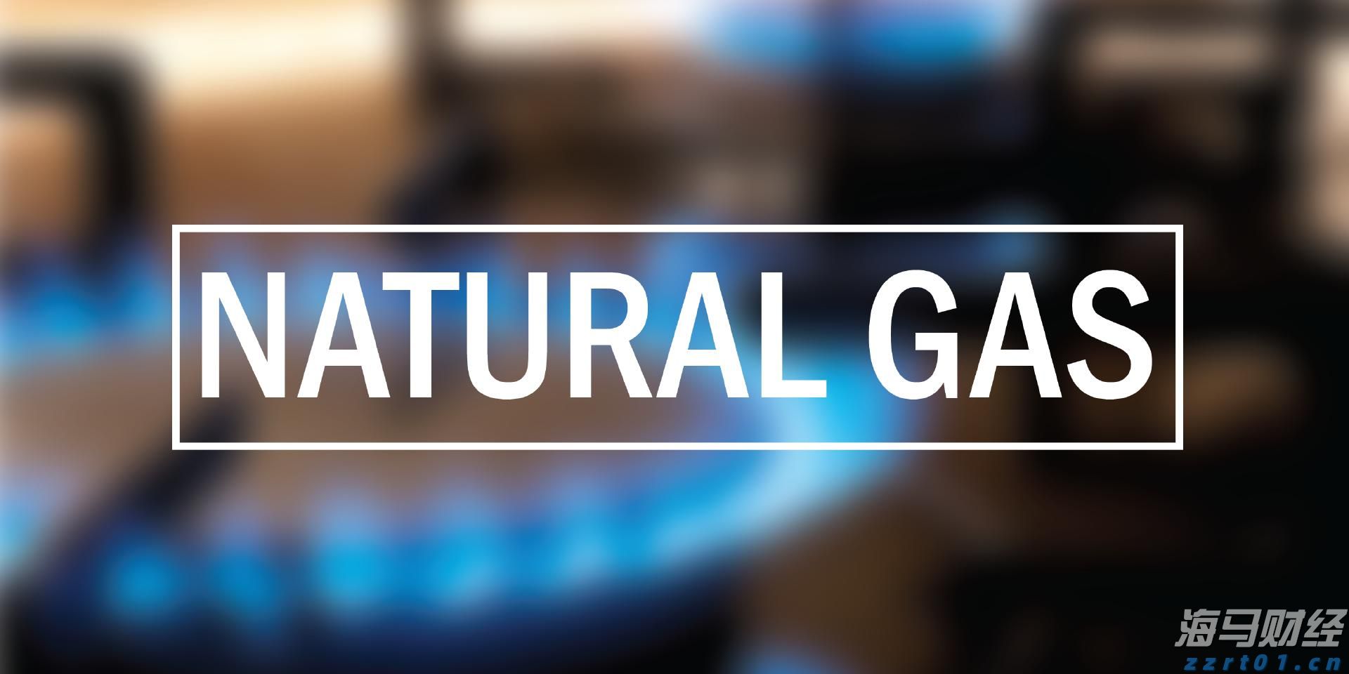 瑞浦兰钧（00666）2025中期业绩分析：双轮驱动推动增长，盈利拐点初现