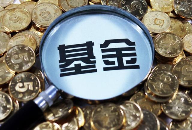 天下徽商与活力家乡的“双向奔赴”