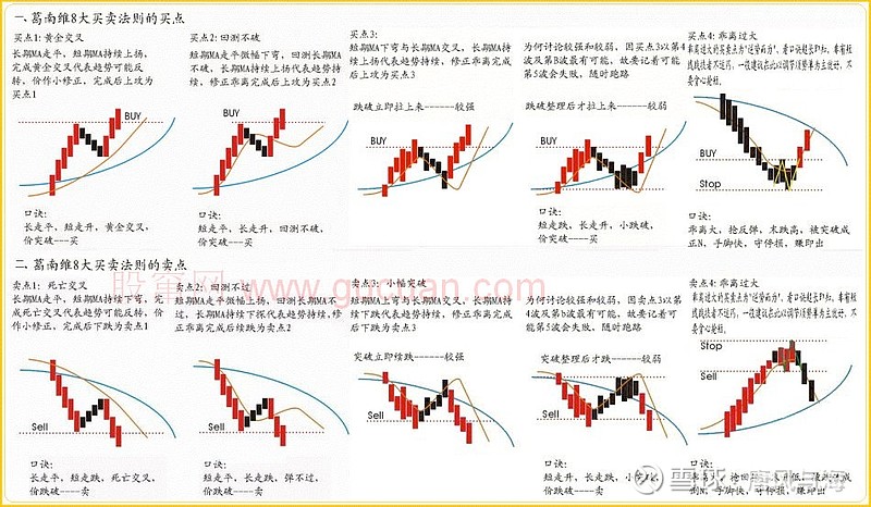 贵港市第三期“荷商和气”亲清政商会召开