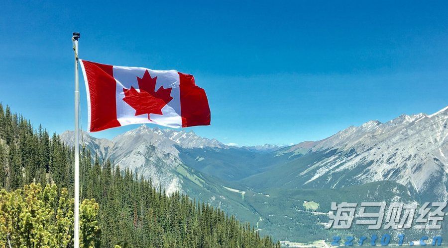 市政协常委开展专题视察活动