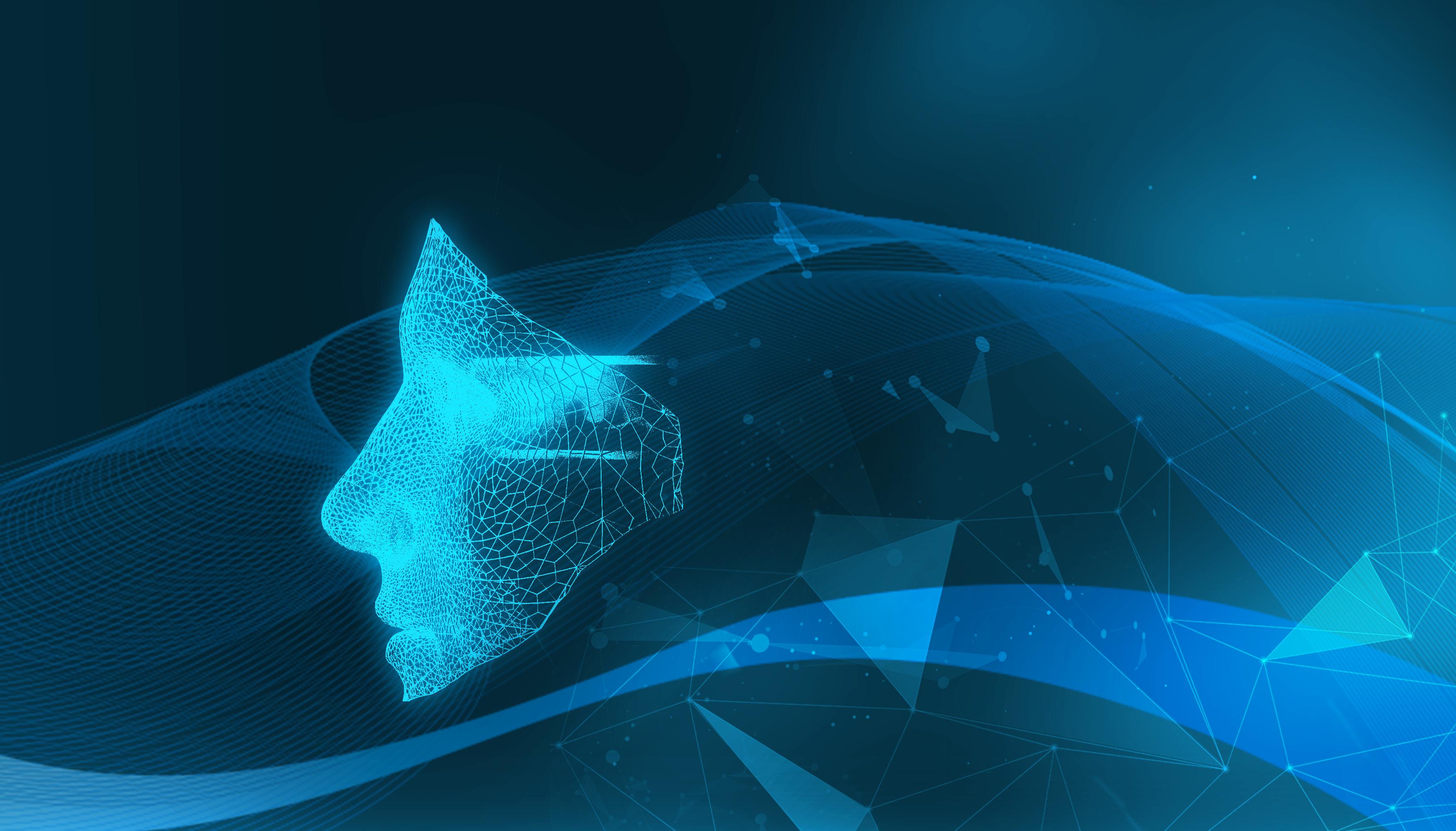 跟着十五运会游广东｜江门：侨都碉楼铸乡魂 侨心匠艺百味醇