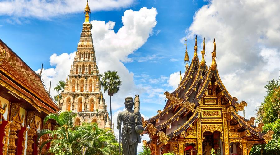 粤港澳三地深度联动！残特奥会助力残疾人事业发展